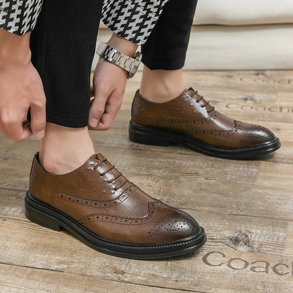 Oxford Brogue Uomo in Pelle